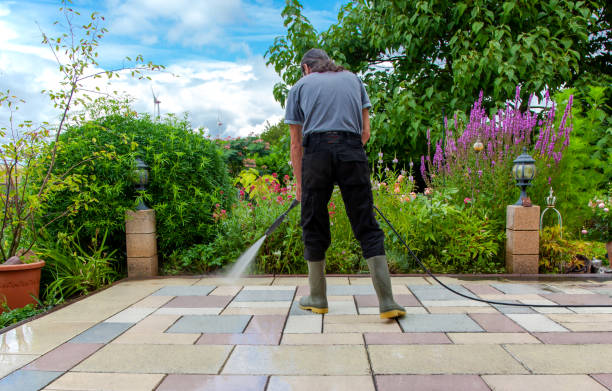 Best Animal Enclosure Cleaning  in Minier, IL