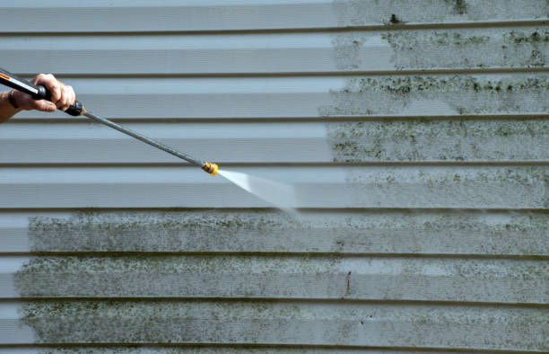 Best Roof Washing  in Minier, IL
