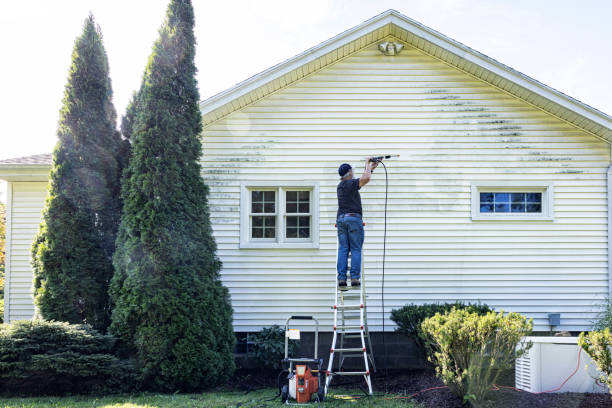 Animal Enclosure Cleaning in Minier, IL